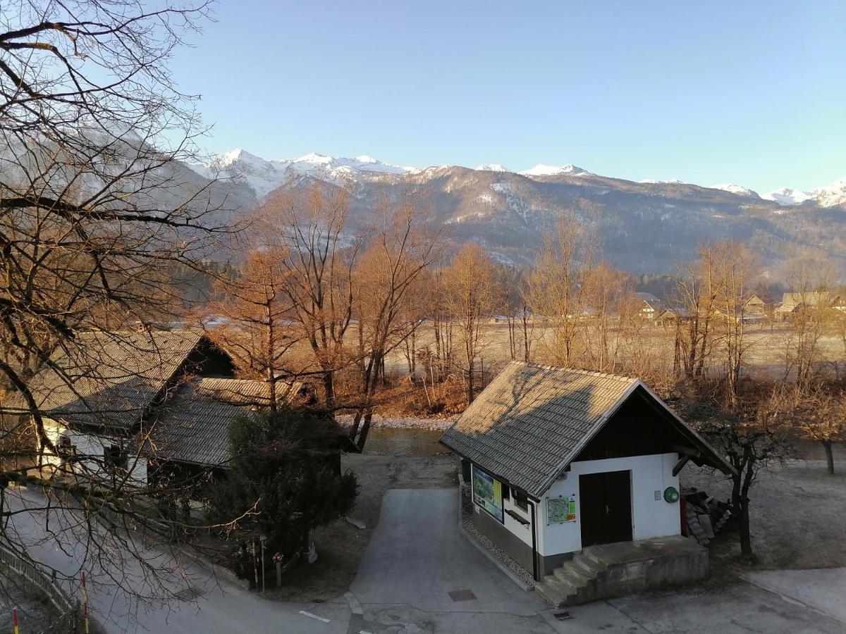 Apartma Kosnik Perunika Bohinj Exterior photo
